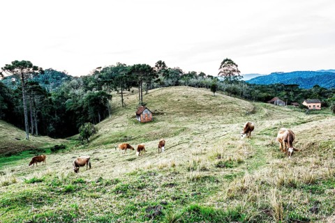 Rural landscape in Rancho Queimado. Rancho Queimado, Santa Catarina, Brazil
