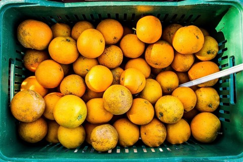 Street market for organic products at Lagoa da Conceicao neighborhood. It takes place at Bento