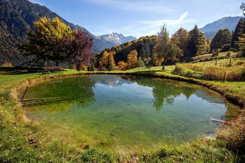 Forellenteich am Gasthof Laiter, Stillachtal, Oberstdorf, Oberallgäu, Allgäu, Bavaria, Germany