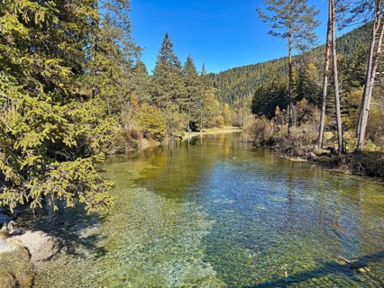 Small river flows through a forest with clear water and surrounded by trees, Lake Toblach, Lake