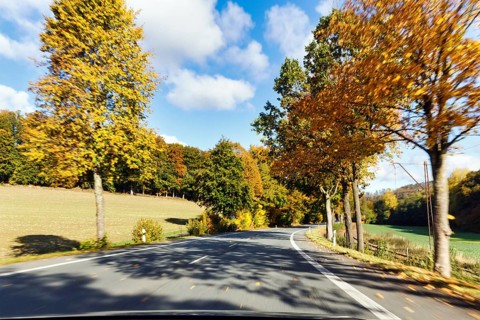 Car ride over winding country road, autumn leaves, sunny autumn weather, motion blur, Barntrup,