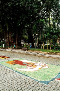 Decorated streets for the Corpus Christi Procession. Florianopolis, Santa Catarina, Brazil