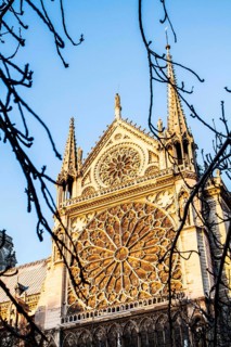 Rose window on south facade of Notre Dame Cathedral (Cathedrale Notre Dame de Paris). Paris, France