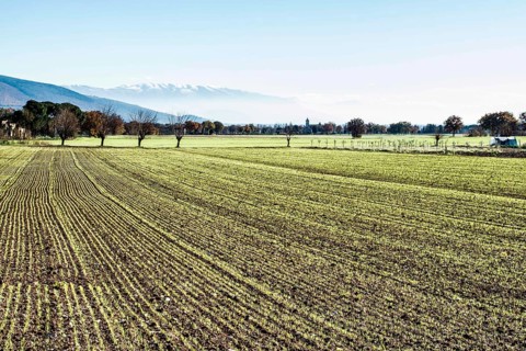 Rural landscape near the city of Assisi. Assisi, Province of Perugia, Italy. 22.12.2012