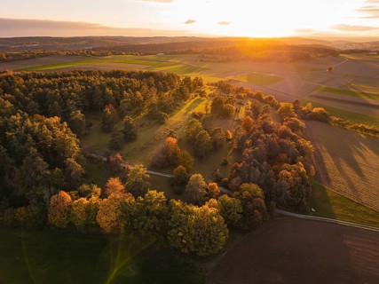 Autumn trees and fields in the golden light of sunset, taken from the air, Venusberg, Aidlingen,