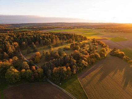 Extensive autumn landscape with trees and fields in warm sunset light, Venusberg, Aidlingen,