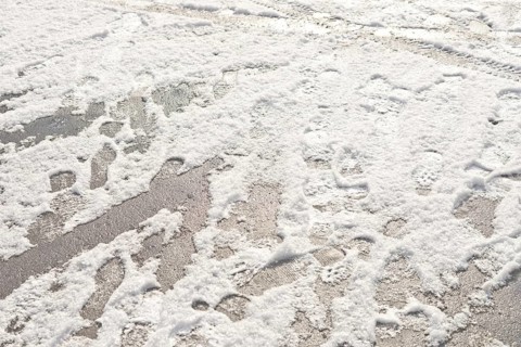 Wheel and foot prints in the fresh snow