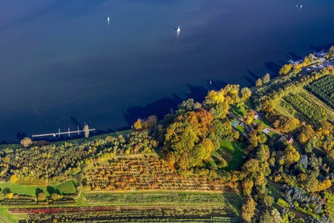 Aerial view, Segel Club Lake Baldeney e. V., autumnal trees on the shores of Lake Baldeney with