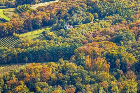 Aerial view, house surrounded by autumn forest, baldeney miniatures and Shetland horse breeders on