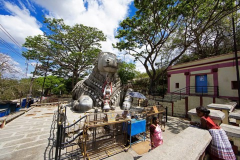 Nandi bull, Indian pilgrims at the monolithic statue of a bull on Chamundi Hill, Mysore or Mysore,