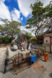 Nandi bull, monolithic statue of a bull on Chamundi Hill, Mysore or Mysore, Karnataka, India