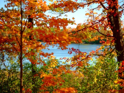 Vibrant autumn scene with colorful leaves framing a peaceful lake view in London, Ontario, Canada