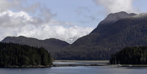 An expansive view of a lake bordered by forests and mountains under a cloudy sky in Tofino, British