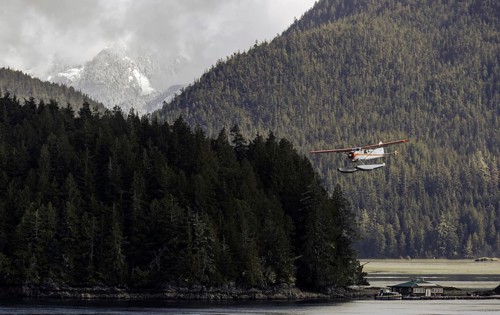 A seaplane glides past mist-covered mountains and lush forests over a calm body of water in Tofino,