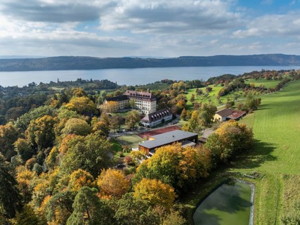 Aerial view of Lake Constance, Überlinger See, surrounded by autumn vegetation with Spetzgart