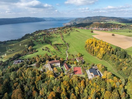 Aerial view of Lake Constance, Überlinger See, surrounded by autumnal vegetation with Spetzgart