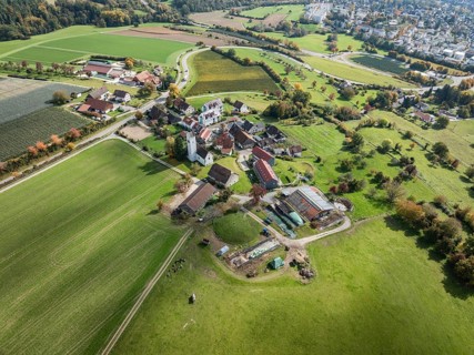 Aerial view of the hamlet of Aufkirch northwest of Überlingen with the church of St. Michael, Lake