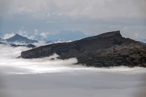 View from Nebelhorn summit on Hoher Ifen, mountains rising from fog in the valley, Oberstdorf,