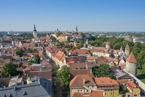 Old town, panorama, Toompea Cathedral Hill in the back, Tallinn, Estonia
