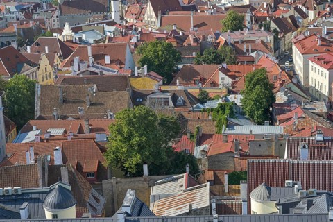 Roofs, houses in the old town, Tallinn, Estonia