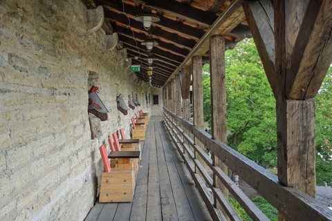 City wall, Kiek in de Kök Museum and Bastion, Old Town, Tallinn, Estonia
