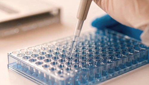 A technician loads a clear blue-tinted microplate with careful precision, Pipette dispensing a