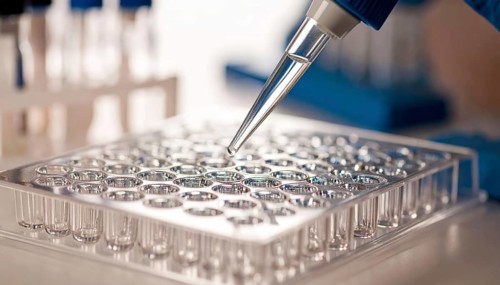Pipette tip hovers over a clear microplate in a calm, focused lab setting, Pipette dispensing a