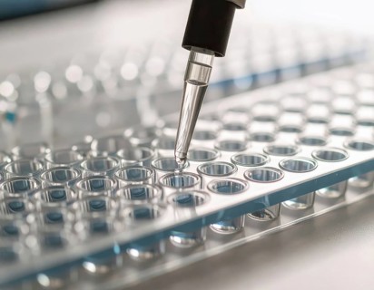 Pipette deposits a drop into a clear microplate on a bright, clean lab bench, Pipette dispensing a