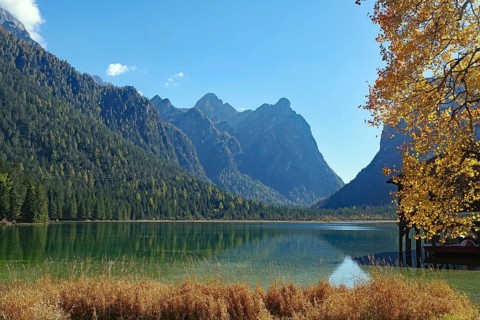 Quiet mountain lake against light, framed by golden leaves, distant peaks and forest are reflected
