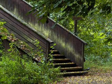 Hiking trail, Sentier du Steingiessen, Altwasser, branch on the Rhine, Strasbourg, France