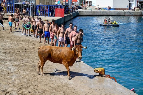 Bous a la Mar Fair, in English Bulls in the Sea, Bullfighting, Javea or Xàbia, Alicante Province,