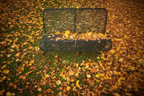 Park bench, bench, full autumn leaves, leaves, main cemetery, autumn, autumn, autumn atmosphere,