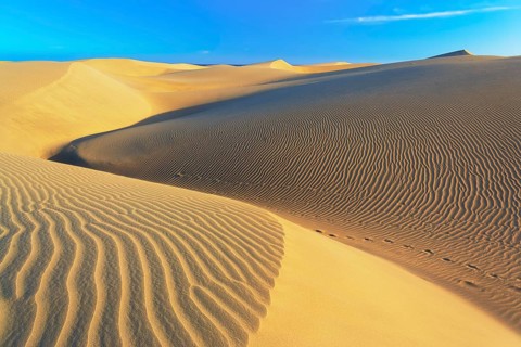 Sand dunes, Maspalomas, Playa del Ingles, Gran Canaria, Canary Islands, Spain