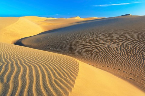 Sand dunes, Maspalomas, Playa del Ingles, Gran Canaria, Canary Islands, Spain