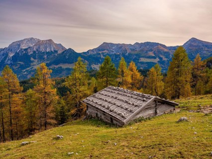 Falzalm in front of autumnal larches, in the back Hoher Göll, Schneibstein and Kahlersberg,