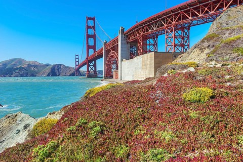 View of Golden Gate Bridge from Bakery beach, San Francisco, California, USA