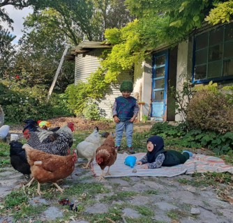 Two small children in the garden on a blanket with chickens, Othenstorf, Mecklenburg-Western