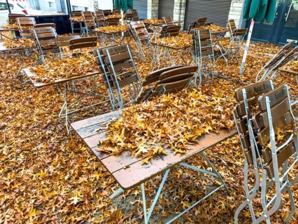 Autumn in town, car parked under deciduous tree, swamp oak, ground and vehicle covered with fallen