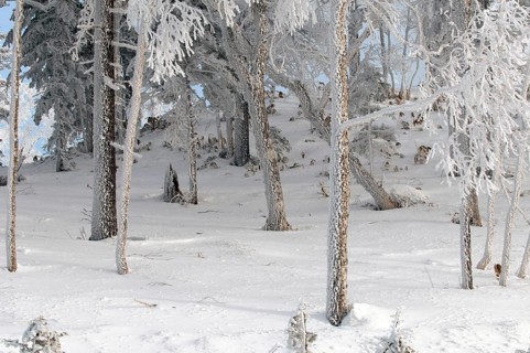 Landscape in winter, Hokkaido, Japan Landscape, Hokkaido, North, East, Winter, (Paysage) Japan,