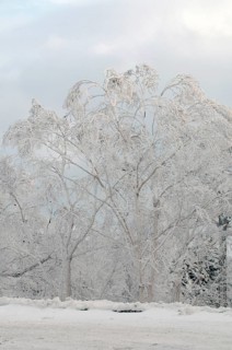 Landscape in winter, Hokkaido, Japan Landscape, Hokkaido, North, East, Winter, (Paysage) Japan,