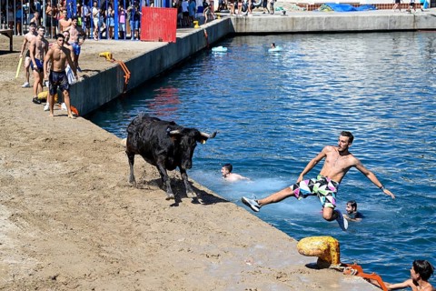 Bous a la Mar Fair, in English Bulls in the Sea, Bullfighting, Javea or Xàbia, Alicante Province,