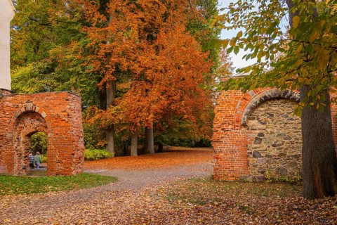 Altzella Abbey is a former Cistercian abbey west of the town of Nossen. In the Middle Ages, it was