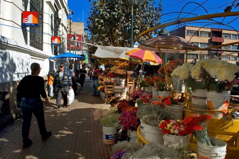 Flowers Salesperson, Valparaiso, Chile