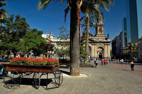 Wagon of Flowers, Armas Square, Santiago, Chile