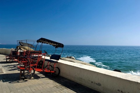 Carriage, Acapulco Beach, Viña Del Mar, Chile