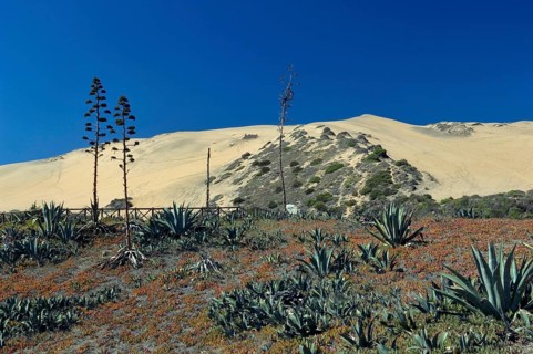 Observatory of Sea Wolves, Dunes, Viña Del Mar, Chile