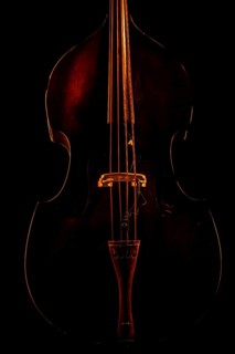 Musical instrument, contrabass