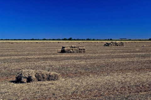 Straw of Soy field, Luiz Eduardo Magalhães, Bahia, Brazil