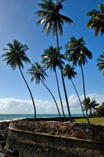 Ruins of Fortress of Tapirandu, Morro de São Paulo, Ilha de Tinharé, Bahia, Brazil