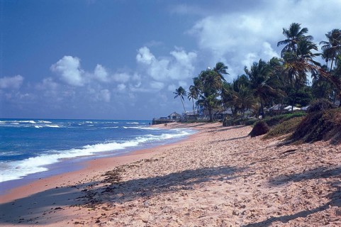 Forte Beach, S.J. da Mata, Bahia, Brazil